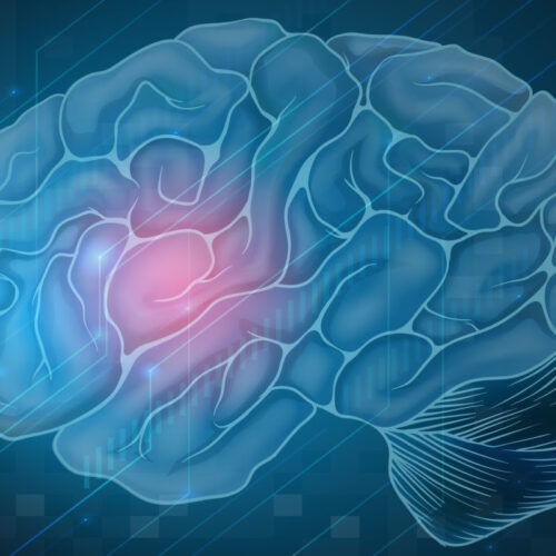 New potential drug target may protect brain against low oxygen damage