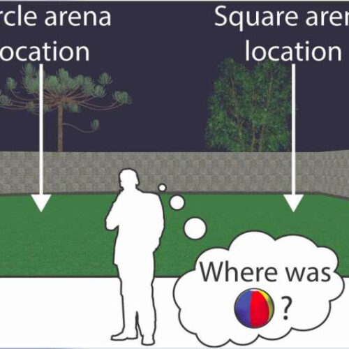 Remapping and realignment in the hippocampal formation predict context-dependent spatial behavior