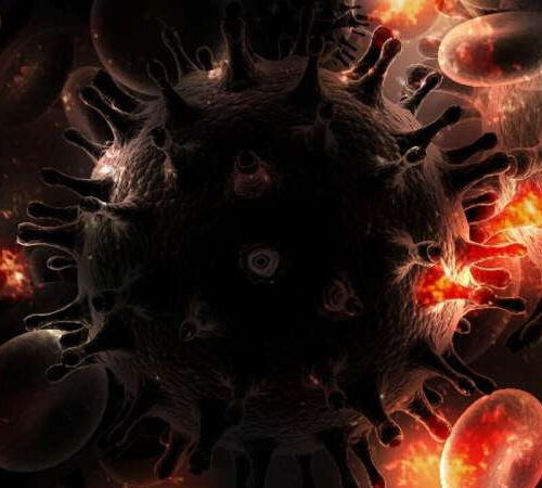 New combination immunotherapy plus ART expand innate cells critical to controlling HIV