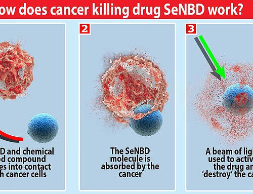 Successful test of ‘Trojan Horse’ cancer drug offers hope for an end to chemotherapy