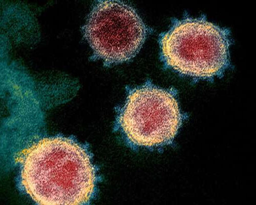 New drug target found for future and current coronaviruses