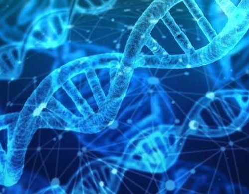 New method of gene analysis prevents early death in familial hypercholesterolemia