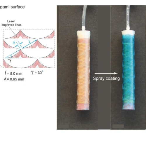 Stents inspired by paper-cutting art can deliver drugs to the GI tract