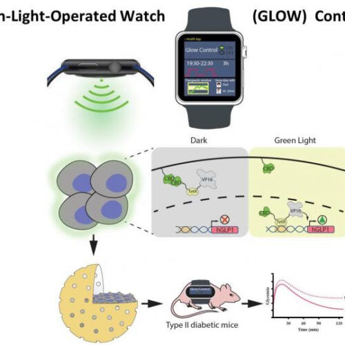Controlling insulin production with a smartwatch