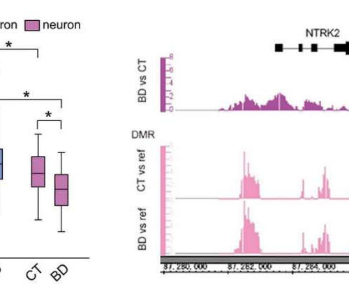 DNA methylation changes in neurons of bipolar disorder patients