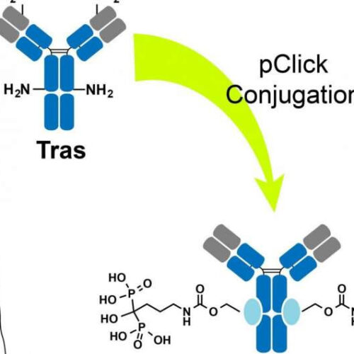 Drug doubles down on bone cancer and metastasis