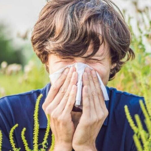Climate change lengthening allergy season