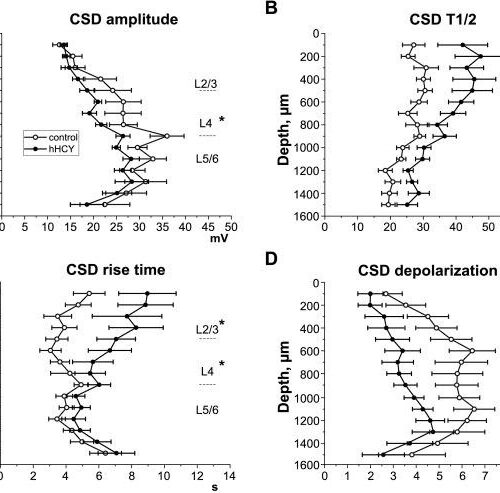 Study of hyperhomocysteinemia in rats elucidates tracks to treating migraine