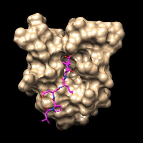 Australian scientists closer to combating long-term effects of COVID-19