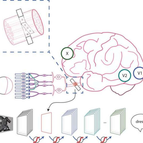 The vision: Tailored optical stimulation for the blind