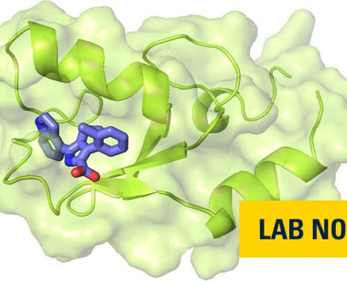 Researchers develop first inhibitors against key epigenetic complex involved in cancer