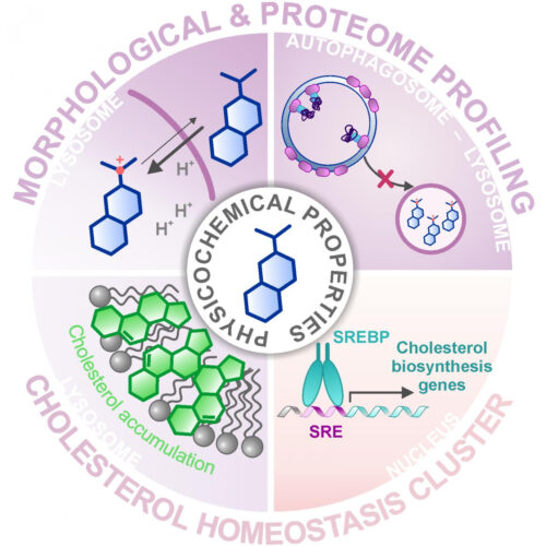 Characterized drugs show unexpected effects