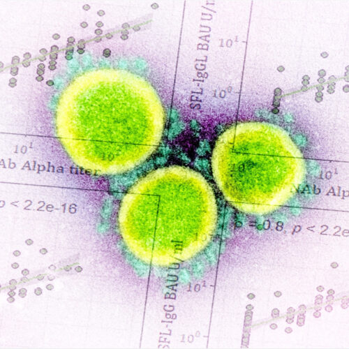 Neutralizing antibodies persist against SARS-CoV-2 at least a year after infection