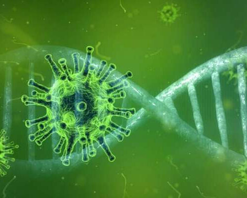 Study: COVID-19 does not enter DNA – virology