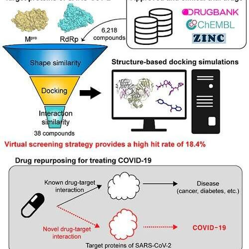 Repurposed drugs present new strategy for treating COVID-19