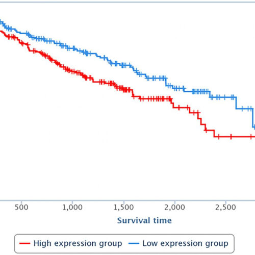 Oncotarget: LAPAS1 is required for S phase progression and cell proliferation