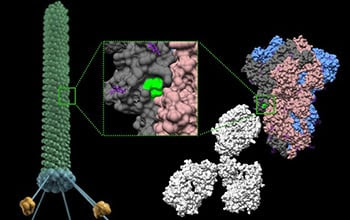 Scientists developing inhalable COVID-19 vaccine spray