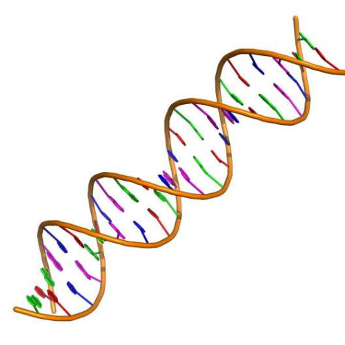 The potential role of ‘junk DNA’ sequence in aging, cancer