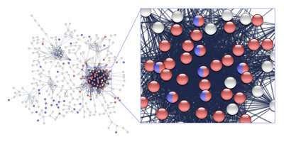 Precision-medicine approach turns up novel drug combination for aggressive leukemias