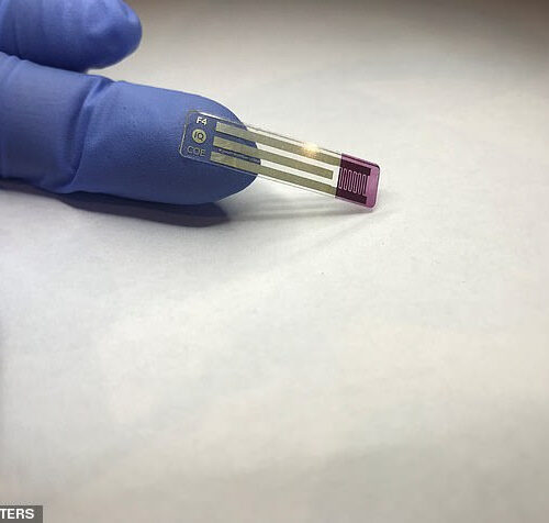 The ‘holy grail’ of blood sugar testing for diabetics: Scientists develop a SPIT test that offers a pain-free way to check glucose levels