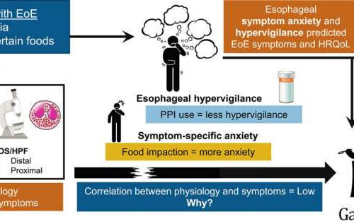 Evaluating esophageal hypervigilance and symptom anxiety