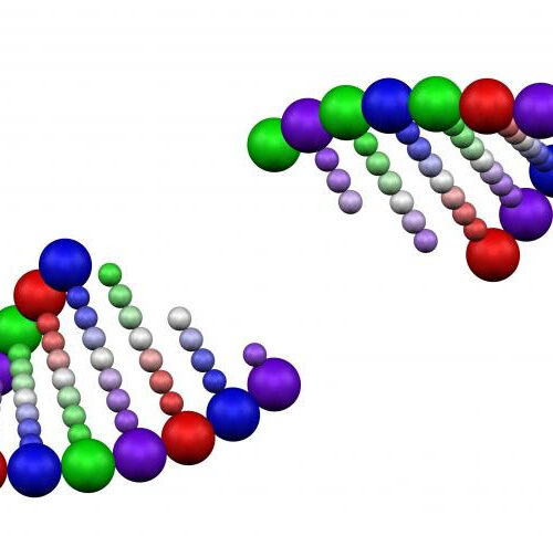 Memory making involves extensive DNA breaking