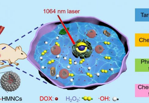 Scientists discover nanoclusters effective for cancer in the second near-infrared synergy therapy