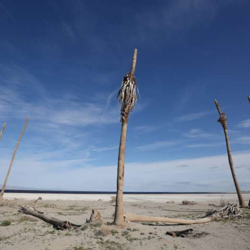 Salton Sea aerosol exposure triggers unique and mysterious pulmonary response