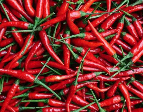 Can eating hot chili peppers actually hurt you?