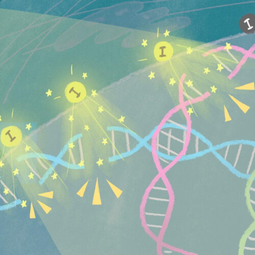 Researchers have found a way to enhance radiation therapy using novel iodine nanoparticle