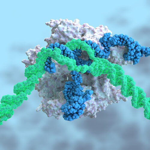 Landmark CRISPR trial shows promise against deadly disease