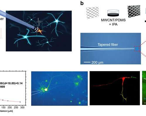 Non-genetic photoacoustic stimulation of single neurons by a tapered fiber optoacoustic emitter