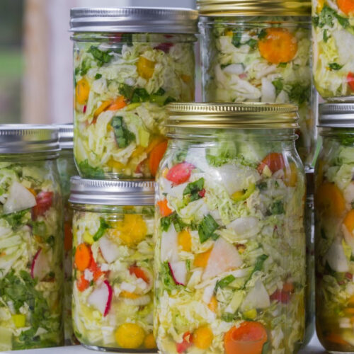 Fermented vs. high-fiber diet microbiome study delivers surprising results