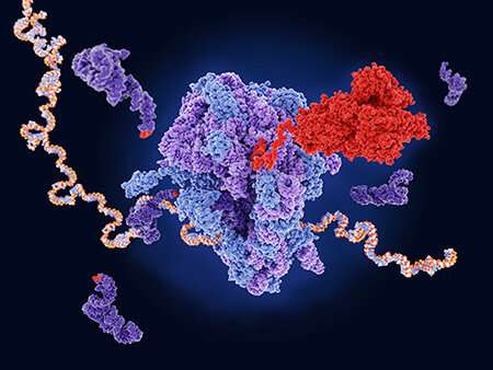 Path to treat currently untreatable cases of cystic fibrosis is achievable