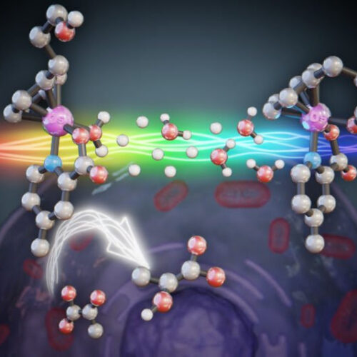 Osmium activation in cancer cells