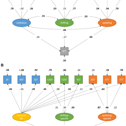 Aging-US: Cognition and action: Executive functions to motor control in older adults