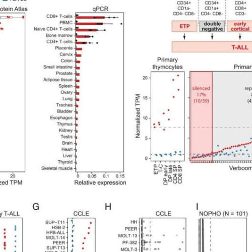 Existing drug opens new possibilities for treating child leukemia