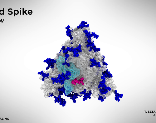 Researchers discover hidden SARS-CoV-2 ‘gate’ that opens to allow COVID infection