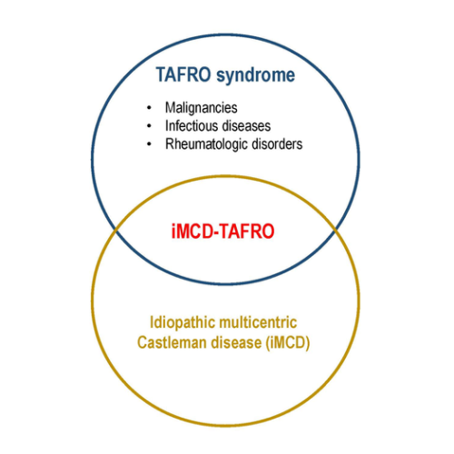 Researchers develop internationally validated definition for iMCD-TAFRO disease, facilitating early diagnosis and better treatment