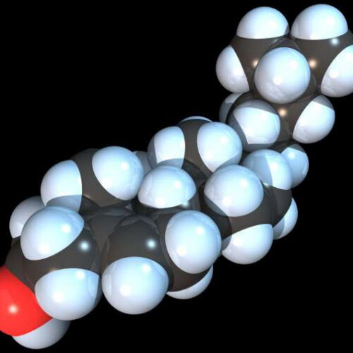 Study provides structural insights into how cholesterol in the brain regulates ion channels and alters their function