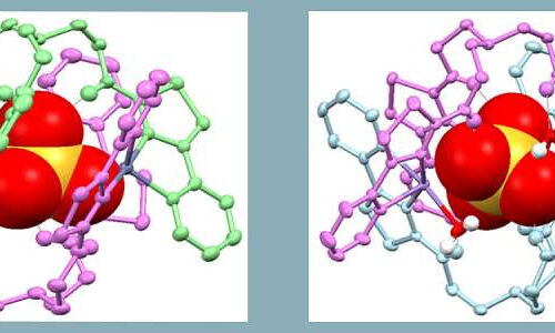 Team achieves cancer therapy breakthrough in vitro using ‘self-assembled’ drugs