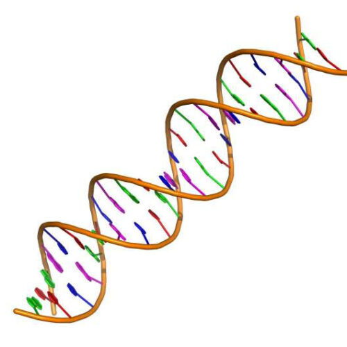 Study identifies DNA signatures linked to heart disease