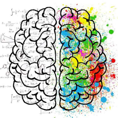 Global and regional alterations in brain structural network in early-onset schizophrenia