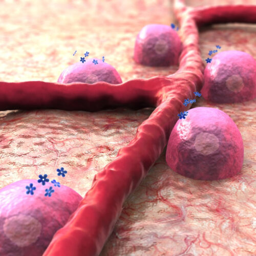 “Synthetic hinge” opens a door to smart, glucose-responsive insulin