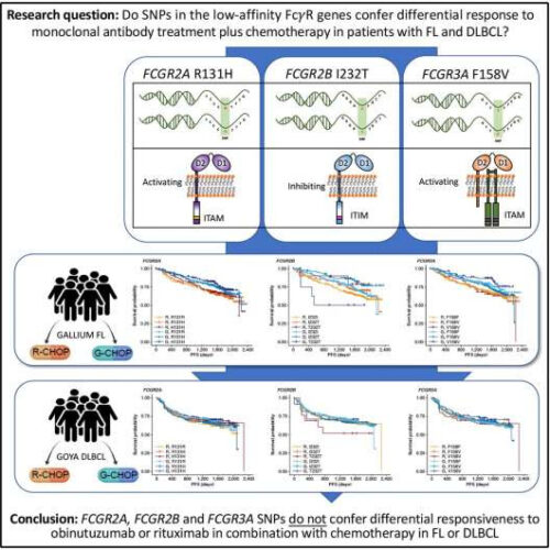 International project provides definitive data on how key cancer drugs work