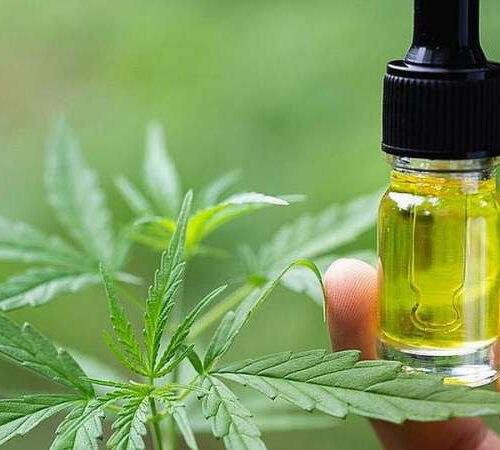 CBD products may help people with epilepsy better tolerate anti-seizure medications