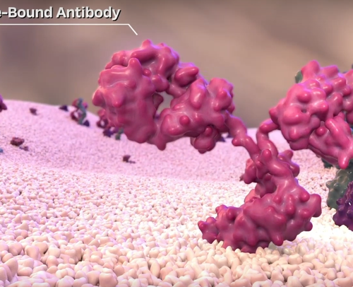 Making visible the invisible: animating autoimmune disease