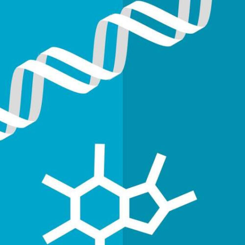 Metabolism changes with age, just not when you might think