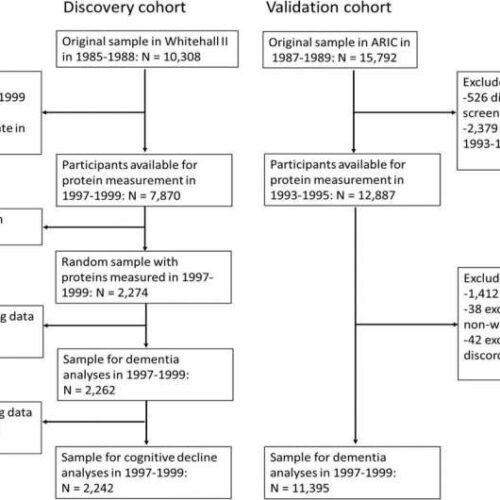 Study: 15 novel biomarkers for diseases predisposing to dementia discovered