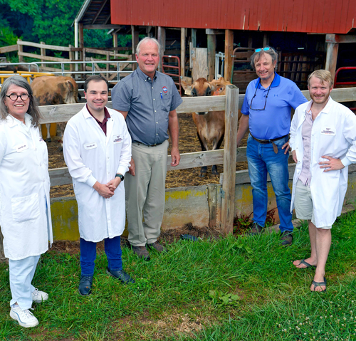 Virginia Tech scientists distill cow’s milk into nano-capsules for drug delivery